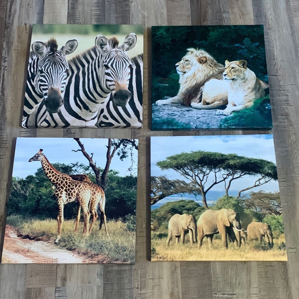 Safari Animal Wall Hangings Zebras Lions Giraffes Elephants 12 x 12